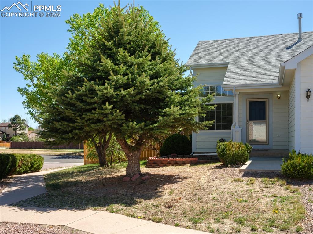 Image 36 of 38: Front of Structure