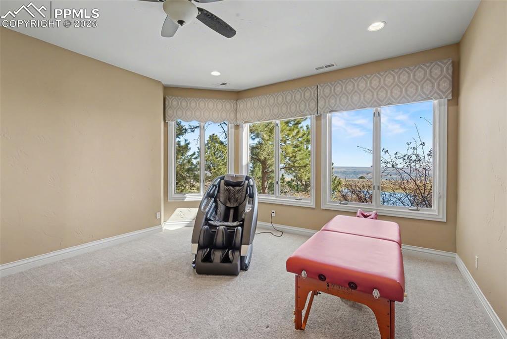 Image 32 of 50: Lower level bedroom
