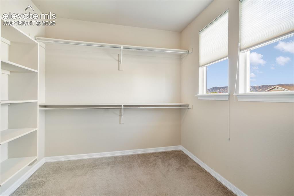 Image 25 of 50: Built-in shelving, dual windows with blinds, and neutral carpeting