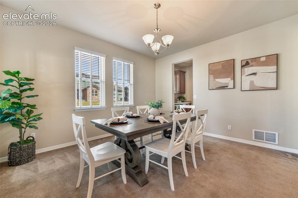 Image 4 of 50: Carpeted flooring throughout, neutral wall paint, two windows with blinds,