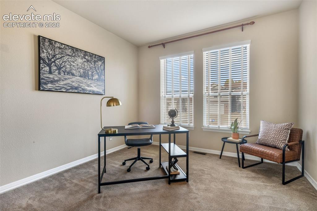Image 6 of 50: Dual windows with blinds, neutral wall tones, and carpet flooring
