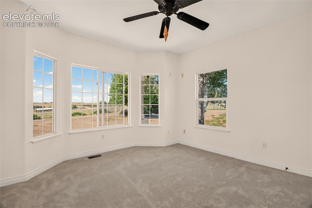 Image 32 of 50: Lots Of Windows, New Carpet Throughout