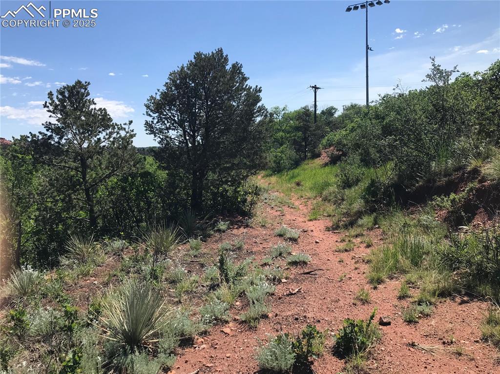 Image 2 of 5: View of local wilderness