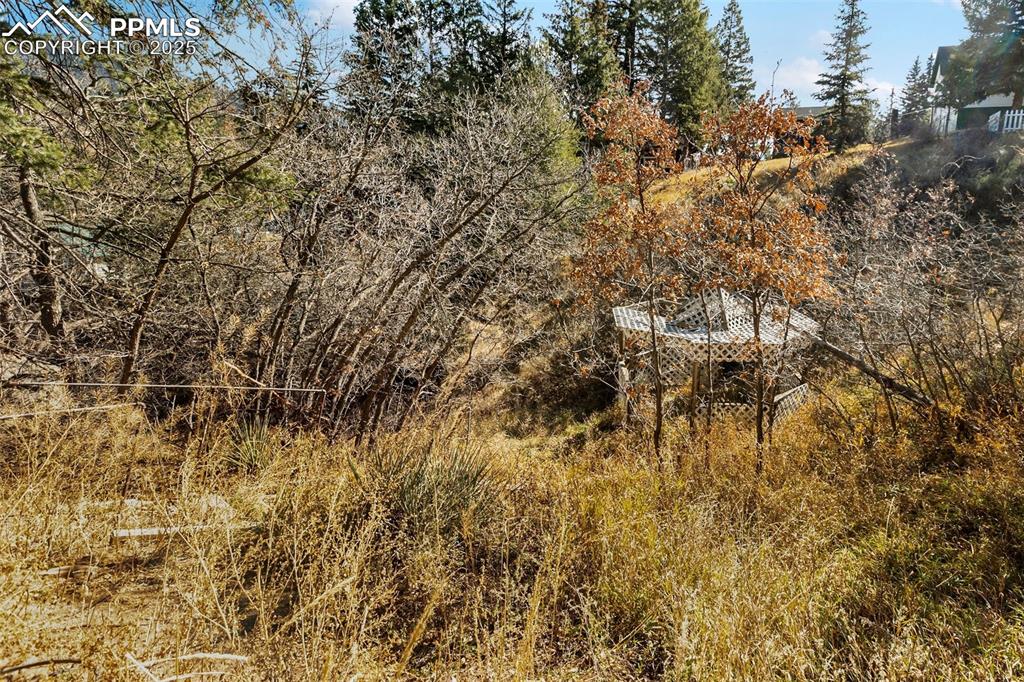 Image 25 of 32: Yard