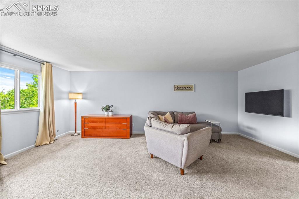 Image 19 of 47: Living area with carpet flooring and a textured ceiling