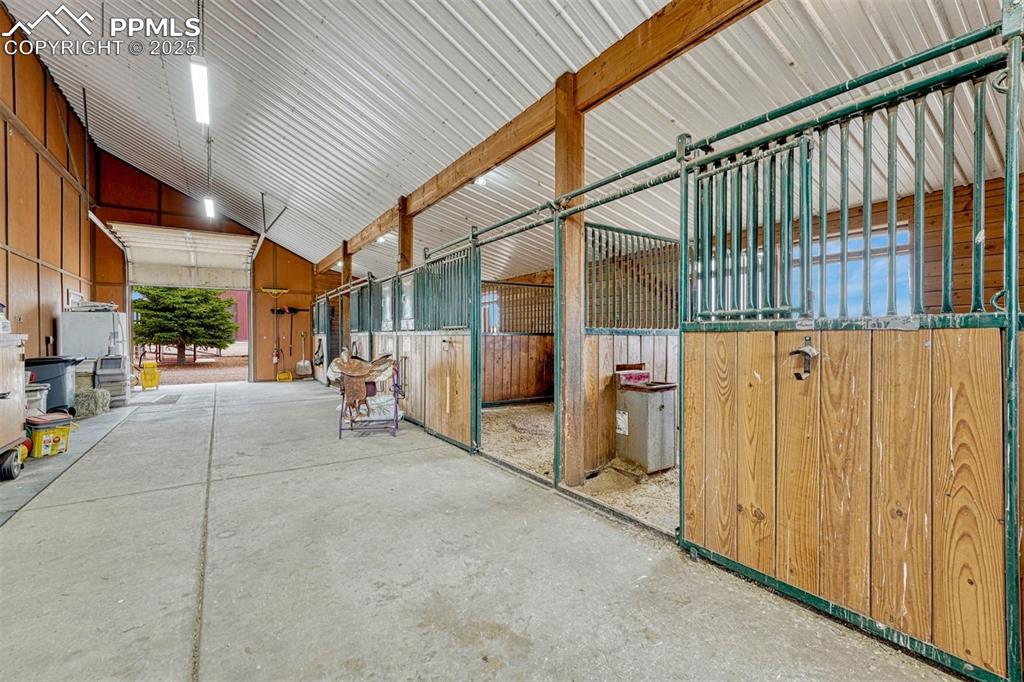 Image 8 of 50: Stable