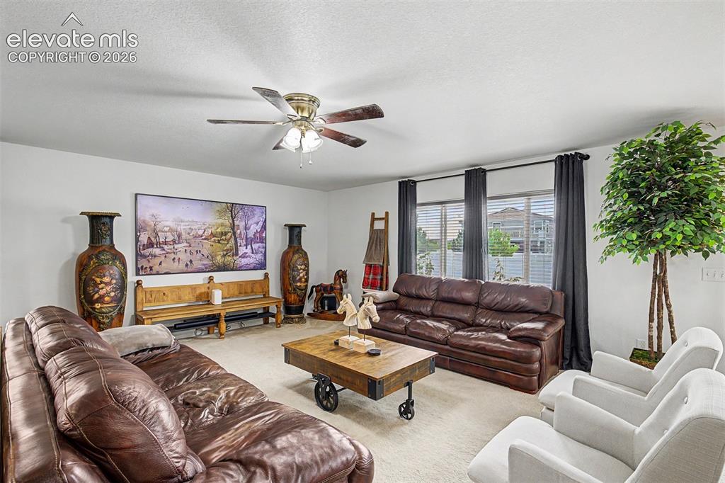 Image 7 of 43: Natural light pours through multiple windows in this expansive main living