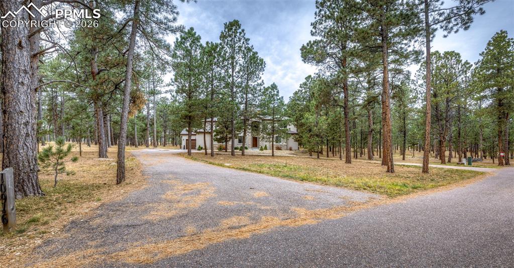 Image 3 of 50: Community