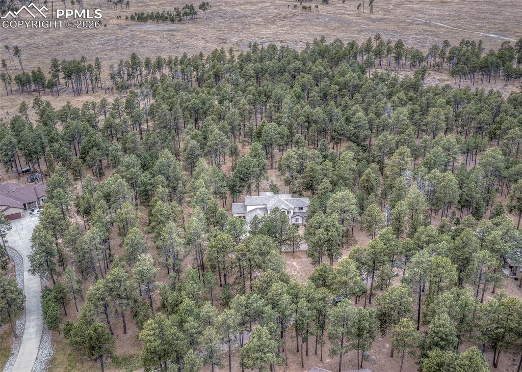 Image 50 of 50: Aerial View