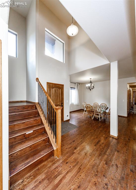 Image 7 of 50: Other