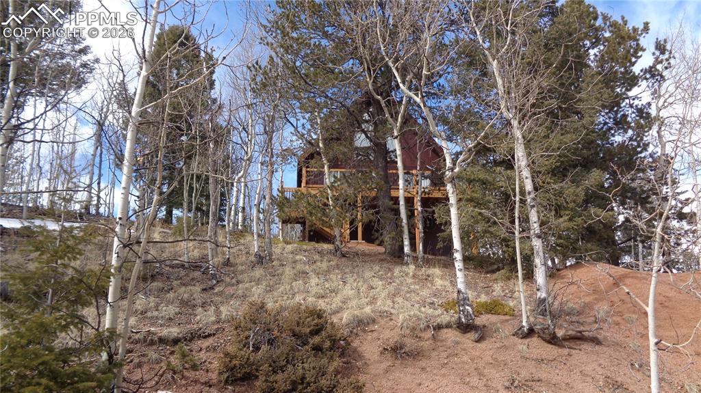 Image 17 of 21: Other