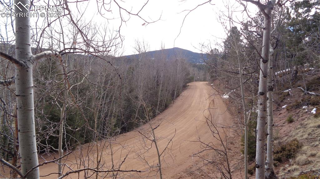 Image 18 of 21: View