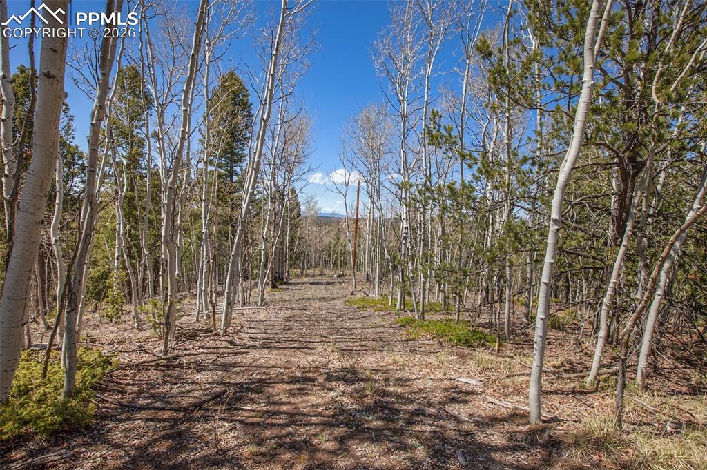 Image 19 of 21: Community