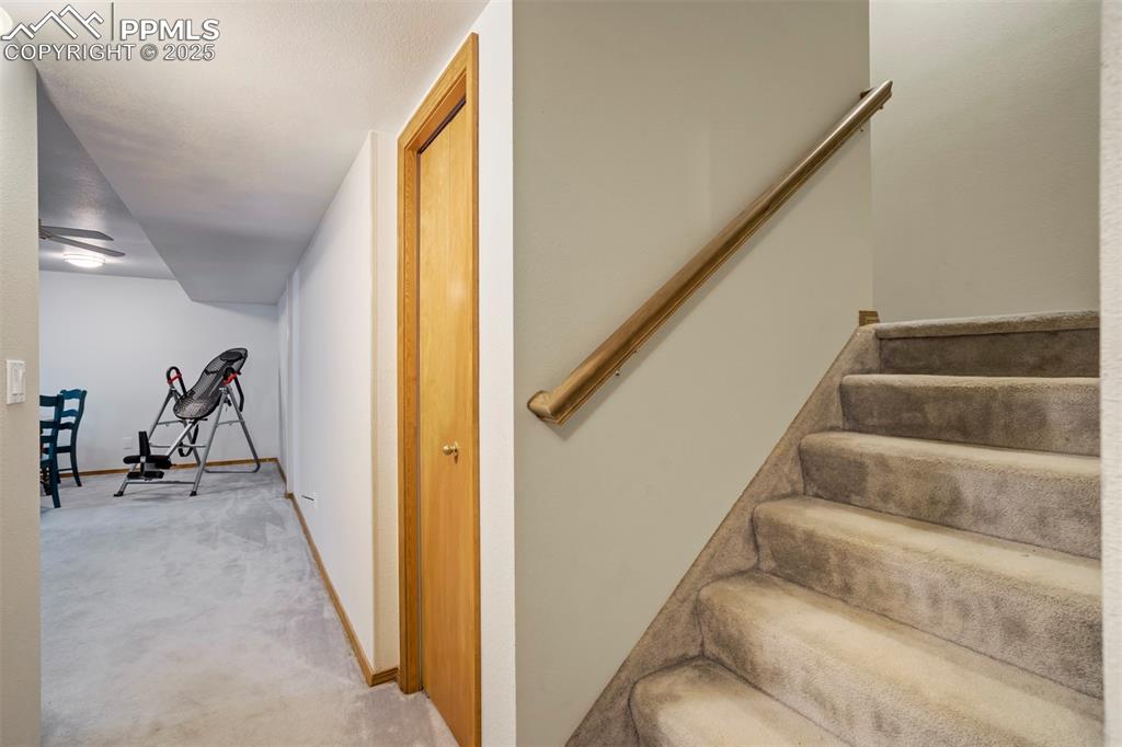 Image 35 of 50: Stairway with carpet and baseboards