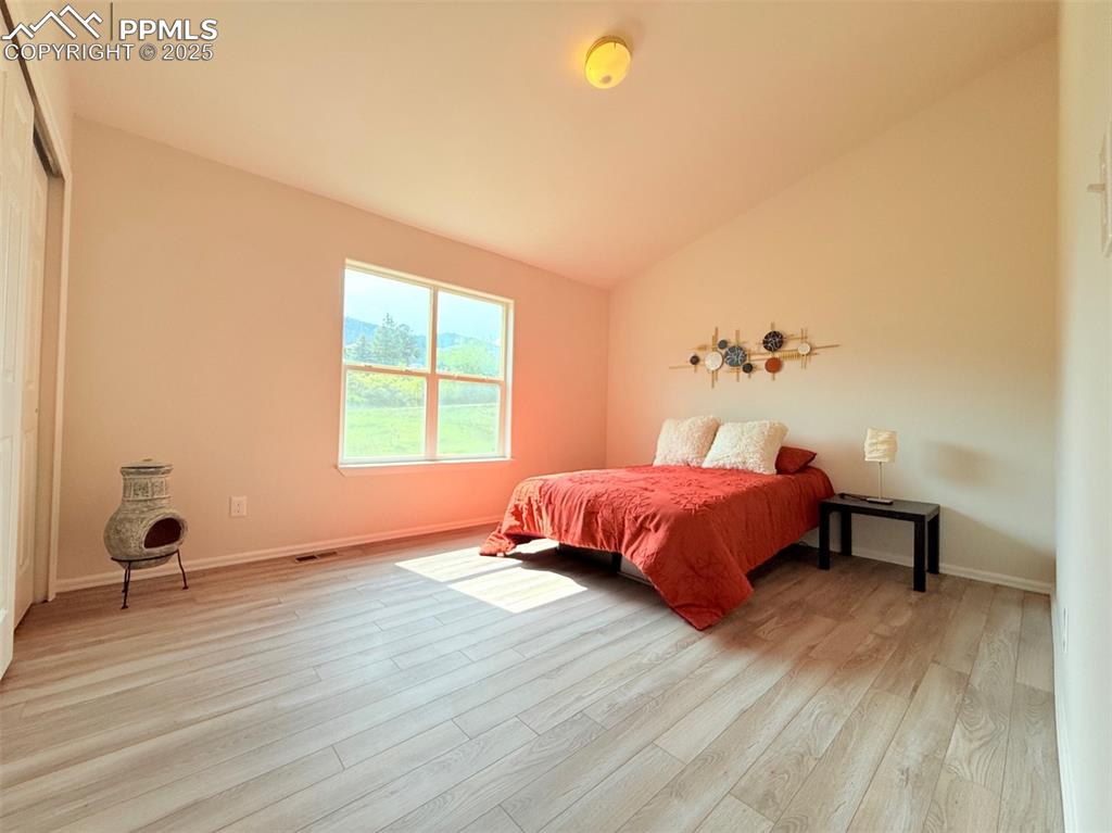 Image 26 of 44: Bedroom with vaulted ceiling and light wood finished floors