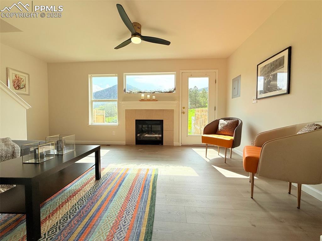 Image 5 of 44: Other