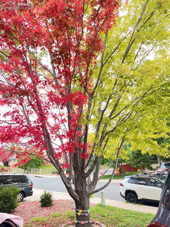 Image 46 of 47: Seller photo
