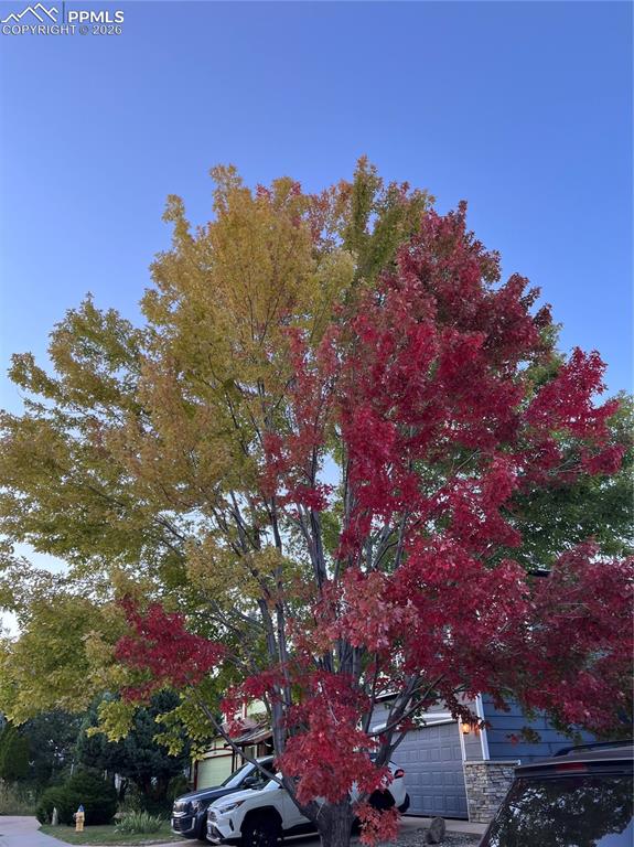 Image 47 of 47: Seller photo
