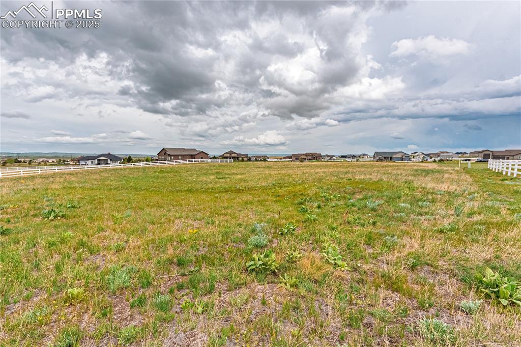 Image 8 of 24: Yard