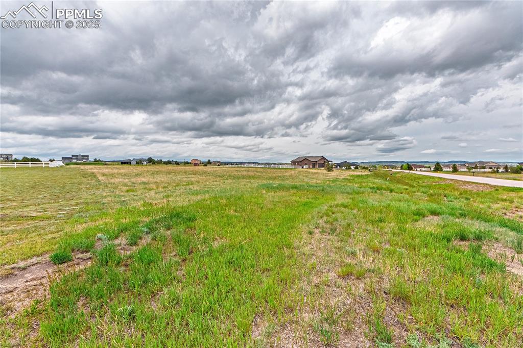 Image 9 of 24: Yard