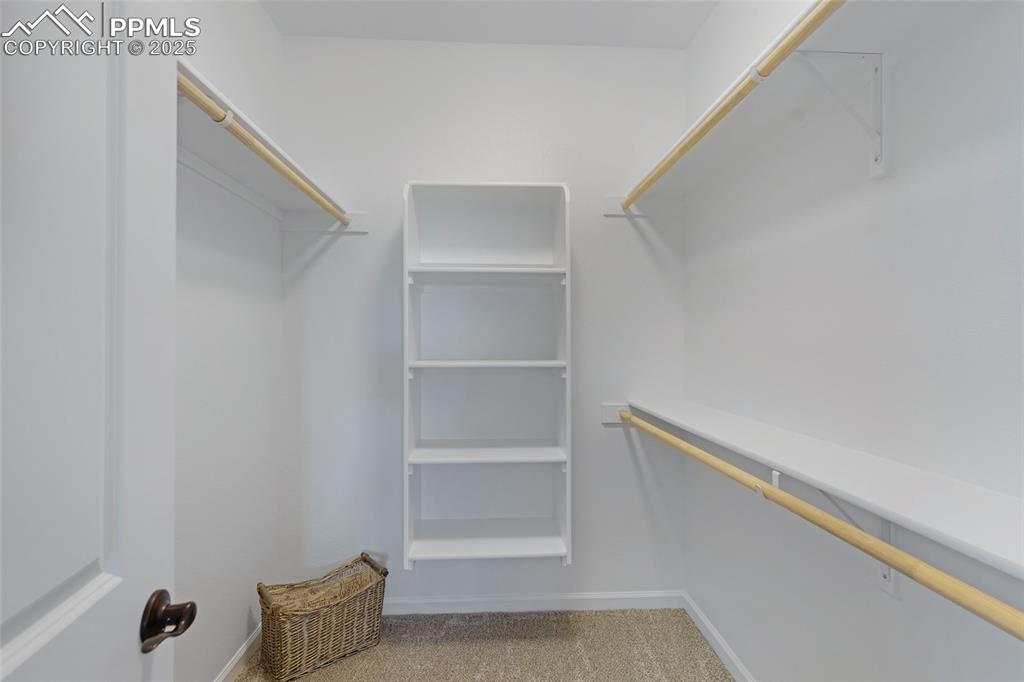 Image 18 of 41: Spacious closet featuring light carpet