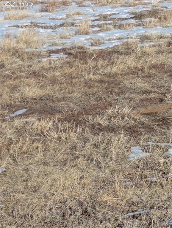 Image 5 of 5: Good for grazing