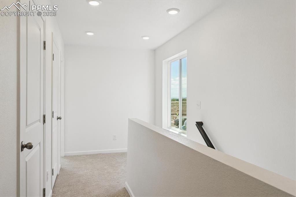 Image 13 of 16: Other