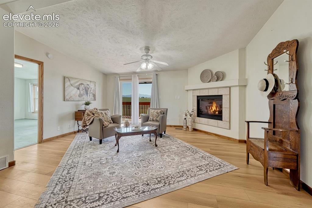 Image 20 of 50: Living room area with gas fire & walk-out to deck