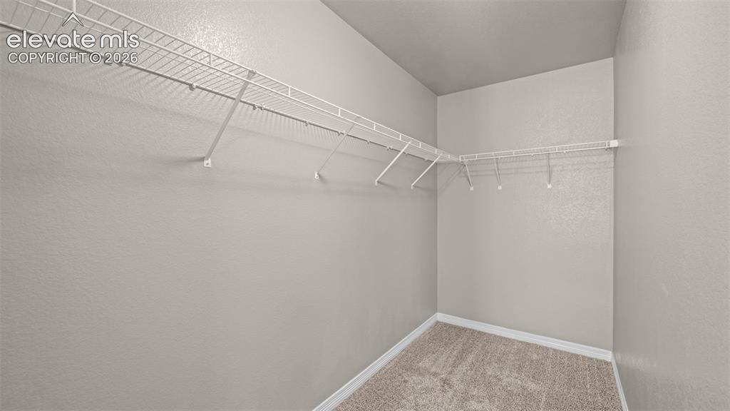 Image 27 of 43: Walk-in closet with wire shelving, light gray walls, and neutral carpet flo
