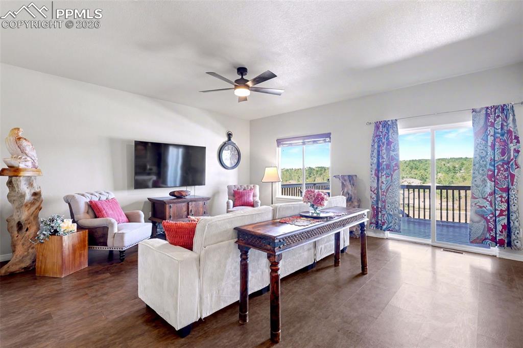 Image 13 of 43: Open and bright living room