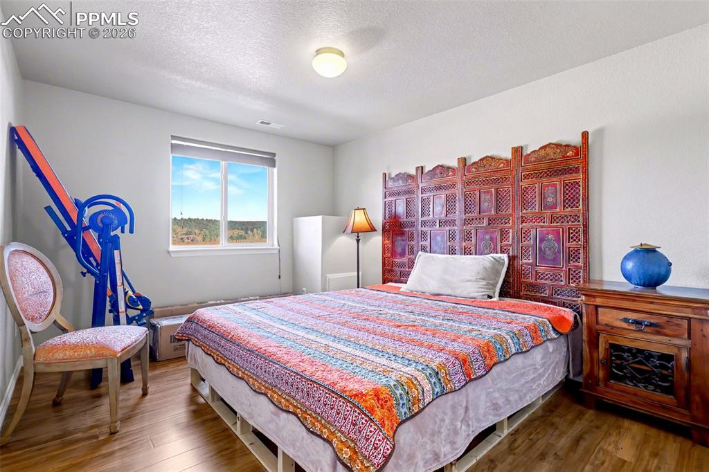 Image 26 of 43: Lower level bedroom with walk in closet