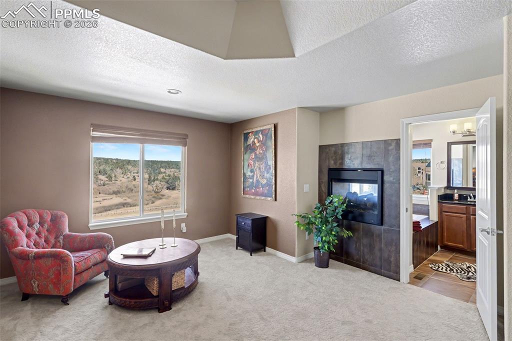 Image 8 of 43: Relax in your sitting area with fireplace in the primary bedroom