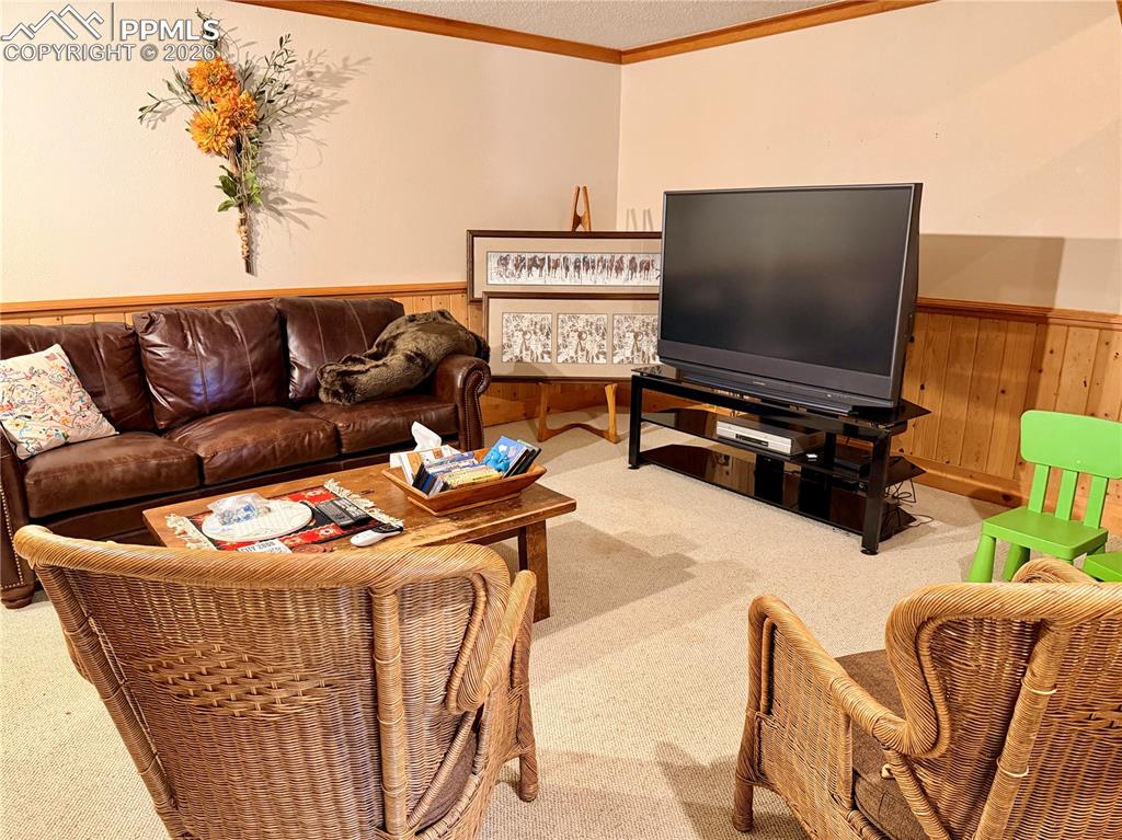 Image 20 of 49: Living Room