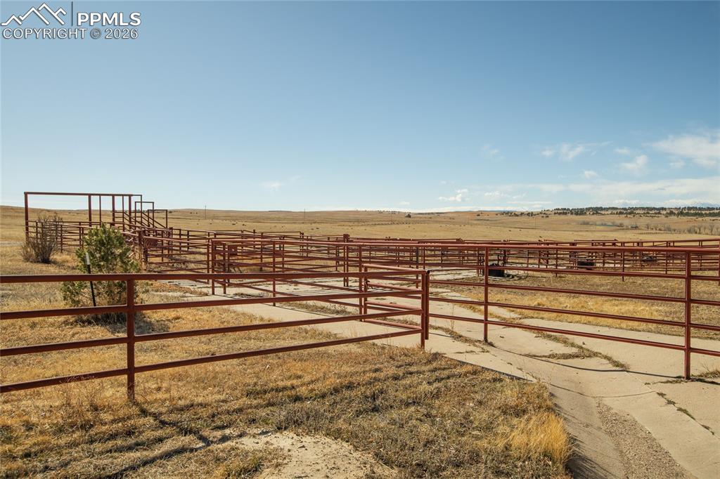 Image 29 of 49: Stable