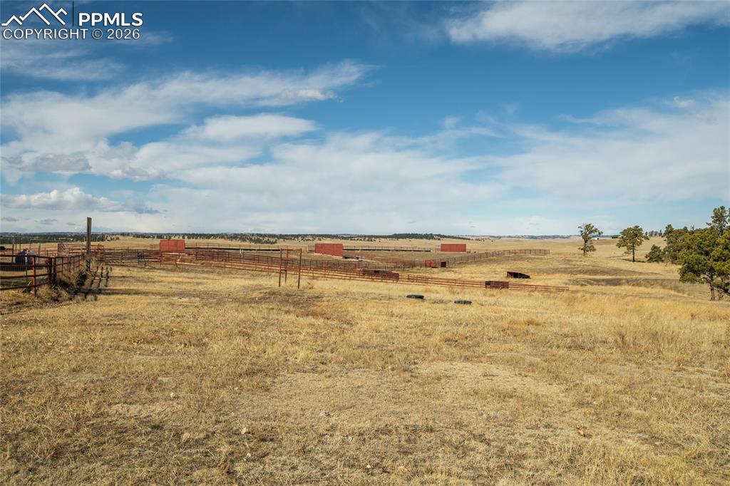 Image 33 of 49: Yard