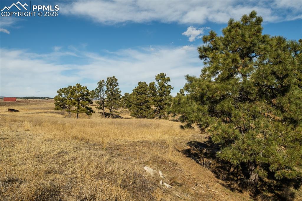 Image 34 of 49: Yard