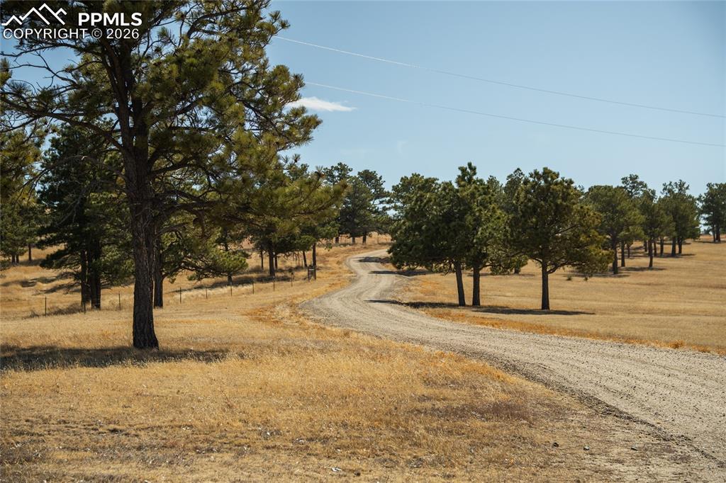 Image 36 of 49: Other