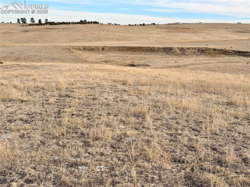 Image 39 of 49: Other