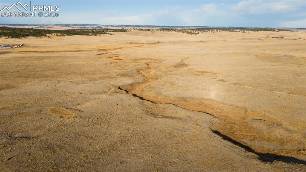 Image 49 of 49: Stable