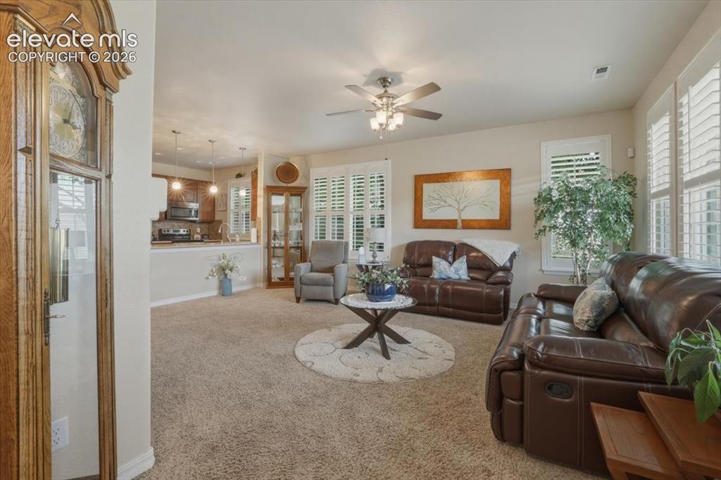 Image 8 of 47: Plantation shutters.