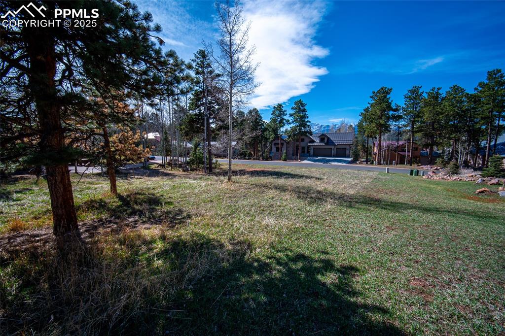 Image 4 of 14: Yard