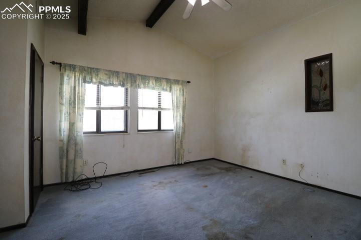 Image 19 of 32: Other