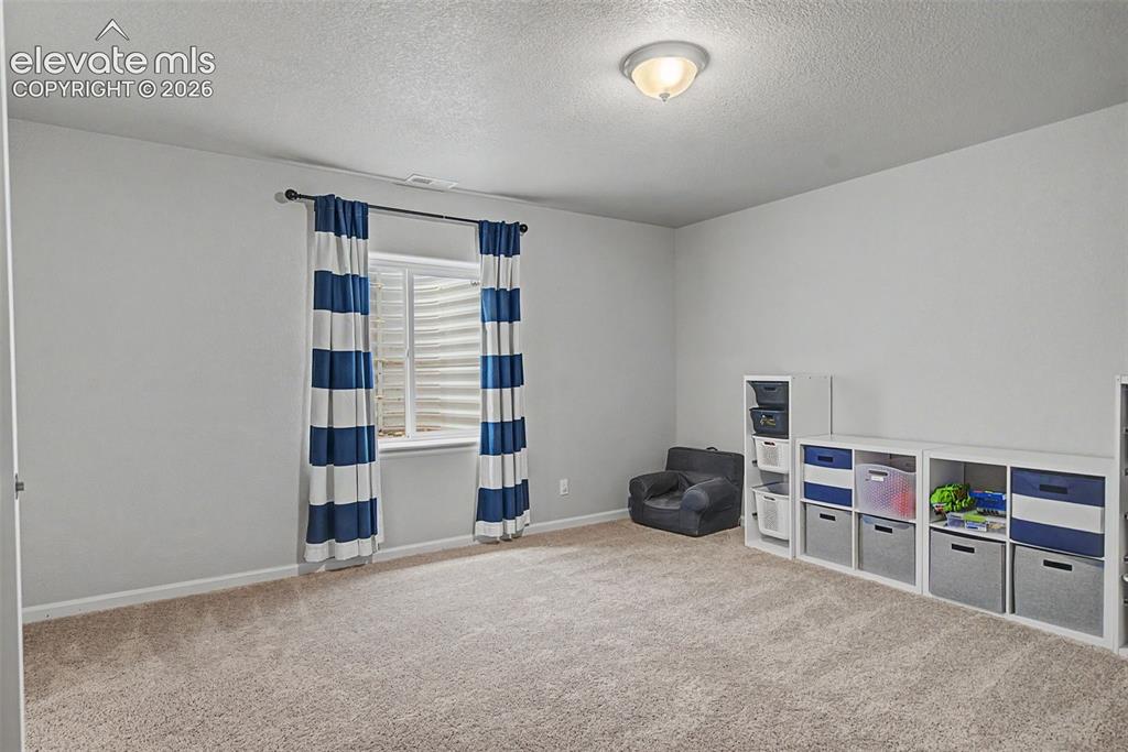 Image 30 of 46: Large basement bedroom