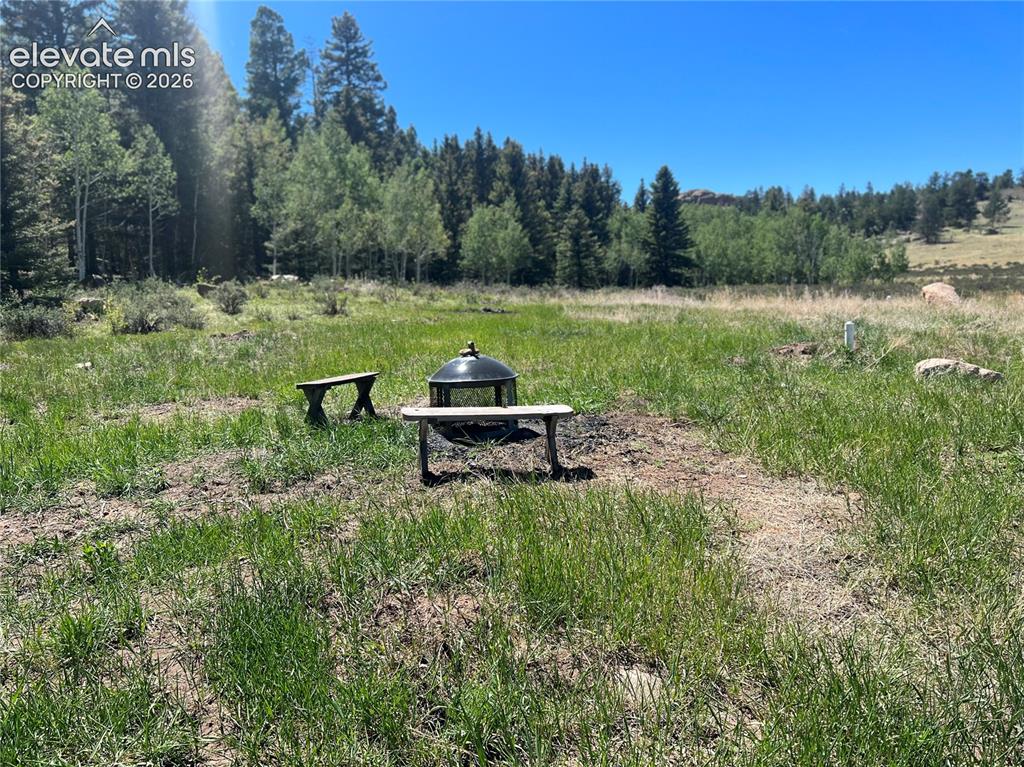 Image 36 of 43: Expansive open terrain with natural vegetation and distant trees