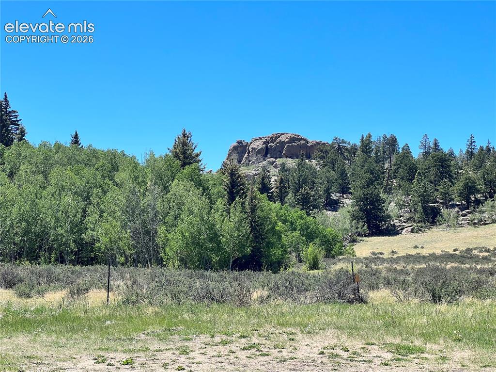 Image 37 of 43: Expansive natural landscape featuring lush greenery, mature trees, and rock