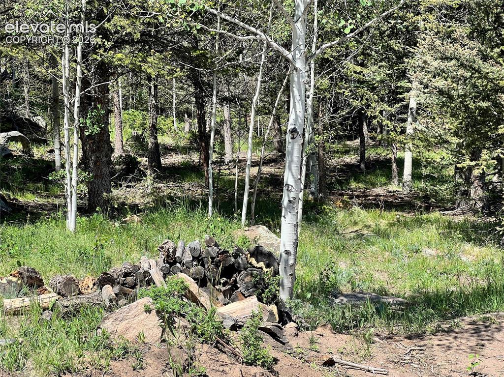 Image 38 of 43: Wooded parcel featuring mature trees, natural ground cover, and exposed roc