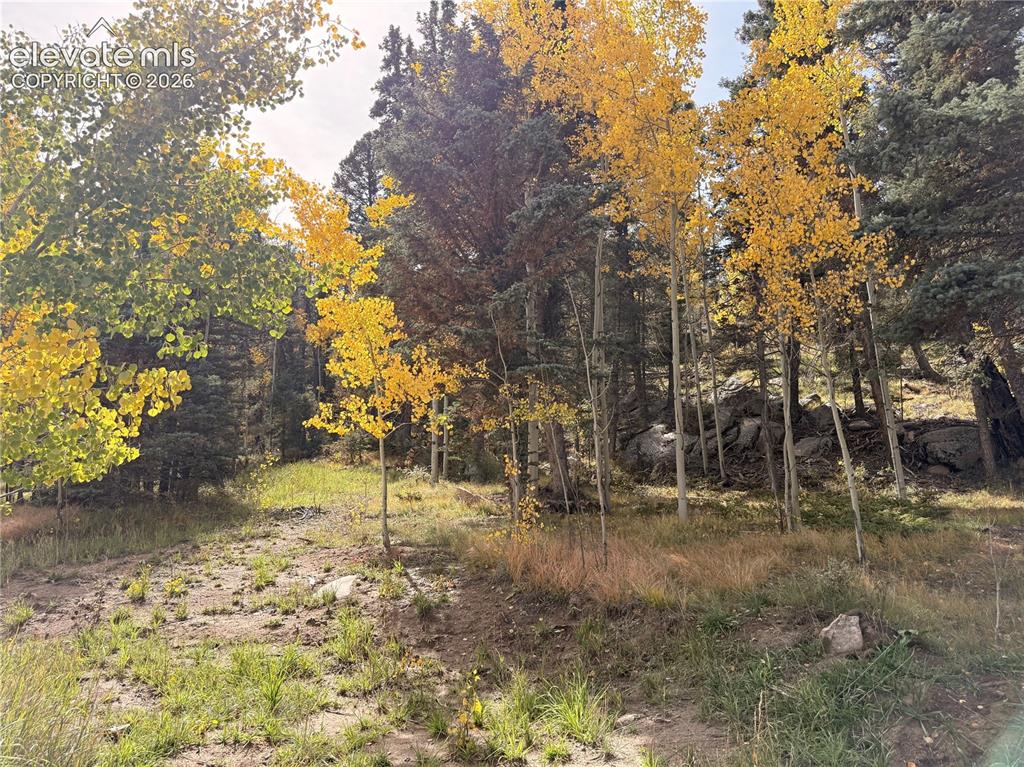 Image 39 of 43: Sloped terrain with mature trees, scattered boulders, and varying ground co