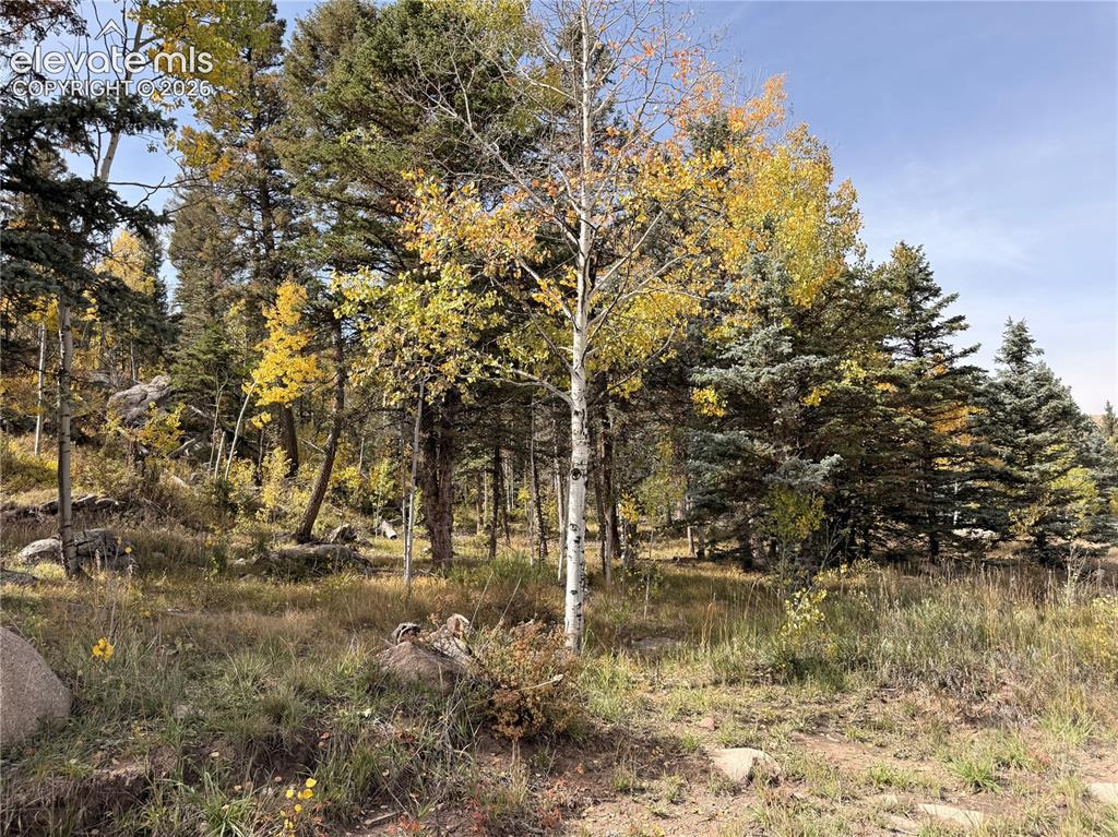 Image 40 of 43: Mature trees, natural landscaping, varied foliage, scattered boulders, and 