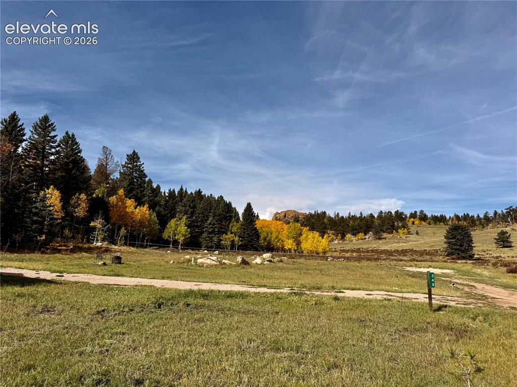 Image 43 of 43: Expansive natural terrain featuring a mix of evergreen and deciduous trees,