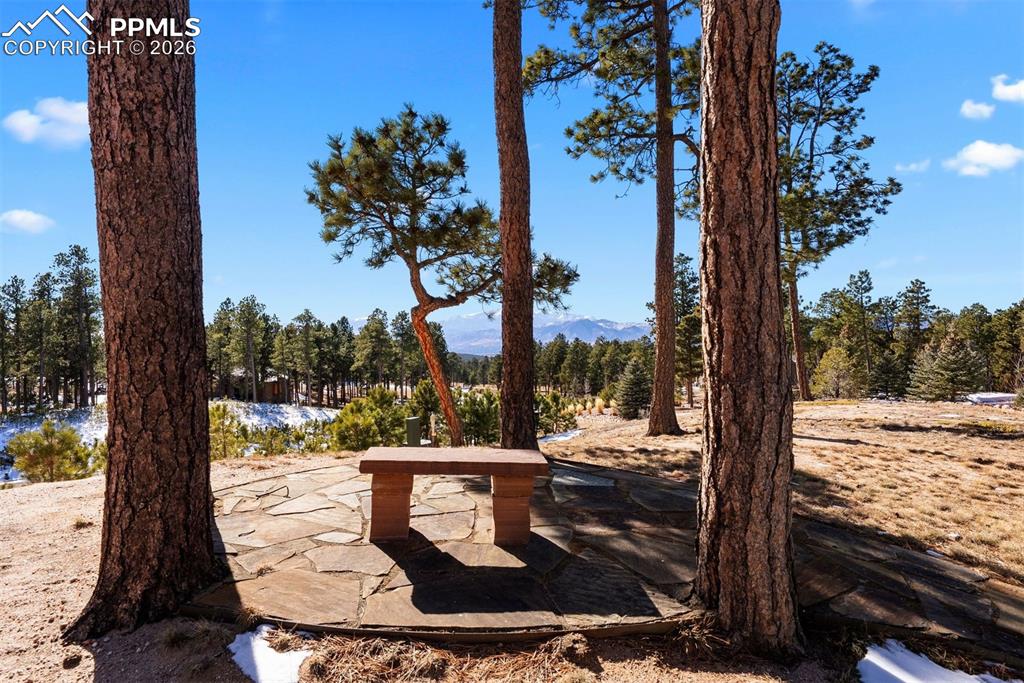 Image 45 of 50: Community